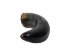 Polished Steer Horn: 11.75": Gallery Item - 304-10-14-G4888 (Y3HRH)