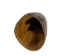 Polished Steer Horn: 12": Gallery Item  - 304-10-14-G4890 (Y3HRH)