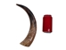 Polished Steer Horn: 15.75": Gallery Item  - 304-15-18-G4891 (Y1L)