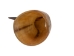 Polished Steer Horn: 15.75": Gallery Item  - 304-15-18-G4891 (Y3HRH)