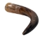 Polished Steer Horn: 15.75": Gallery Item  - 304-15-18-G4891 (Y3HRH)