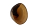 Polished Steer Horn: 6.5": Gallery Item - 304-6-9-G4885 (Y1L)