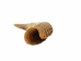 Weathered Steer Horn: #1: Gallery Item - 306-W-1-G6046 (Y3KR-A2)