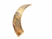 Weathered Steer Horn: #1: Gallery Item - 306-W-1-G6046 (Y3KR-A2)