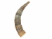 Weathered Steer Horn: #1: Gallery Item - 306-W-1-G6048 (Y3KR-A2)