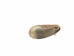 Weathered Steer Horn: #2:Gallery Item - 306-W-2-G6045 (Y3KR-A2)