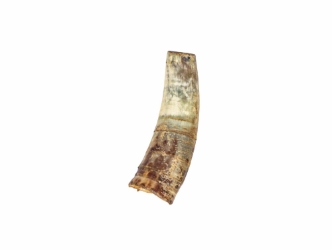 Weathered Steer Horn: #3: Gallery Item 
