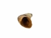Weathered Steer Horn: #3: Gallery Item - 306-W-3-G6041 (Y3KR-A2)