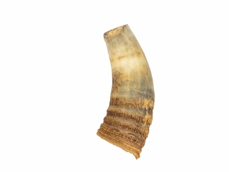 Weathered Steer Horn: #3: Gallery Item 