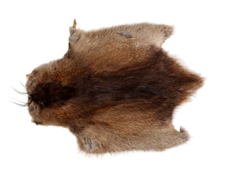 Muskrat Skin: Trading Post Grade: Gallery Item 
