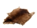 Muskrat Skin: Trading Post Grade: Gallery Item - 308-TP-G6649 (Y1MC19)