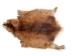 Muskrat Skin: Trading Post Grade: Gallery Item - 308-TP-G6649 (Y1MC19)