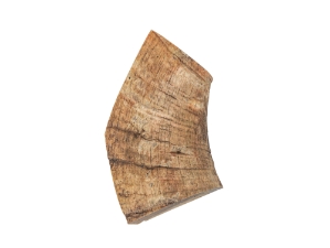 Dahl Sheep Horn Piece: Gallery Item 
