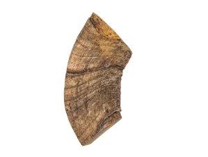 Dahl Sheep Horn Piece: Gallery Item 