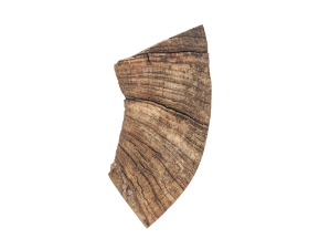 Dahl Sheep Horn Piece: Gallery Item 