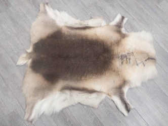 Reindeer Hide: Medium: Gallery Item 