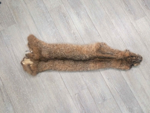 Bobcat Skin: Trading Post Quality: Gallery Item 