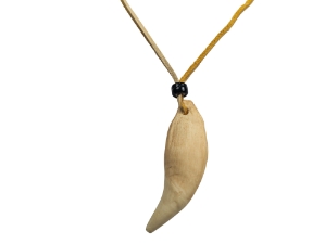 Realistic Iroquois Bear Tooth Necklace: 1-tooth: Gallery Item 