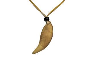 Realistic Iroquois Bear Tooth Necklace: 1-tooth: Gallery Item 