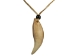 Realistic Iroquois Bear Tooth Necklace: 1-tooth: Gallery Item - 368-201-G6146 (Y2HC14)
