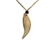 Realistic Iroquois Bear Tooth Necklace: 1-tooth: Gallery Item - 368-201-G6146 (8UN13)