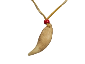 Realistic Iroquois Bear Tooth Necklace: 1-tooth: Gallery Item 