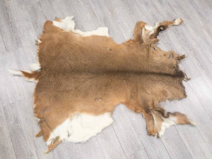 White Tail Deer Hide: #2: Gallery Item 