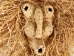 Corn Husk Mask: Gallery Item - 4-12-G5041 (Y2NRH)