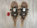 Used Snowshoes: Good Quality with Harness: Gallery Item - 47-90-G6204 (9UL1)