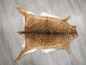 Axis Deer Hide: Large: Gallery Item 