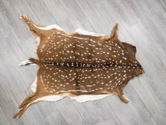 Axis Deer Hide: Large: Gallery Item 