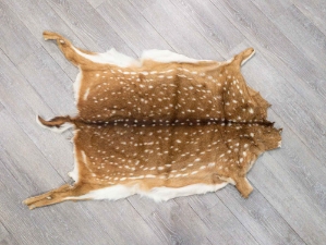 Axis Deer Hide: Medium: Gallery Item 