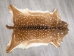 Upholstery Grade Axis Deer Hide: Large: Gallery Item - 488-UPL-G6210 (Y1HRE)