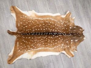 Upholstery Grade Axis Deer Hide: Large: Gallery Item 