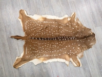 Upholstery Grade Axis Deer Hide: Extra Large: Gallery Item 