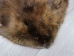 Extra-Wide Beaver Skin: #1: Extra-Large: Gallery Item - 50-1-XL-G3212 (Y1L)