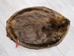 Extra-Wide Beaver Skin: #1: Extra-Large: Gallery Item - 50-1-XL-G3212 (Y1E)