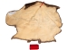Sheared Beaver Skin: #2 Grade: Gallery Item - 50-55-G1214 (Y1E)