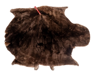 Sheared Beaver Skin: #2 Grade: Gallery Item 