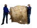 Cow Rawhide: Full Hide: Thick: Natural: Gallery Item - 55-20-FULL10-G4865 (Y2J)