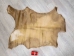 Goat Rawhide: Extra Large: Gallery Item - 55-50XL-G3958 (Y2JRP)