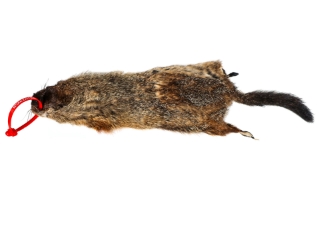 Groundhog Skin: Gallery Item 