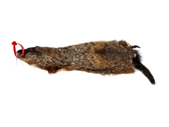 Groundhog Skin: Gallery Item 