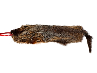 Groundhog Skin: Gallery Item 