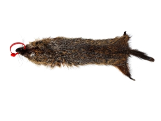 Groundhog Skin: Gallery Item 