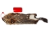 Groundhog Skin: Gallery Item - 557-G6518 (Y1GRJ)