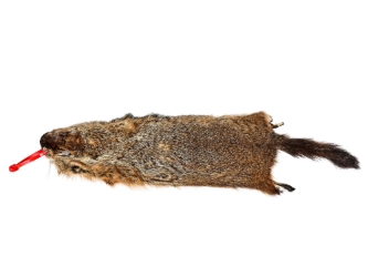 Groundhog Skin: Gallery Item 