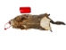 Groundhog Skin: Gallery Item - 557-G6532 (Y1GRJ)