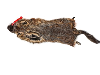 Groundhog Skin: Gallery Item 
