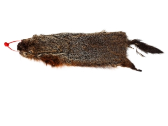 Groundhog Skin: Gallery Item 